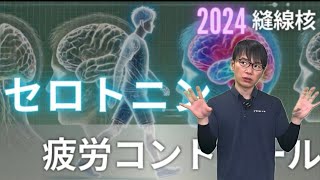 【☑︎疲労・疼痛の原因か？】縫線核の機能と解剖セロトニンリハビリテーション [upl. by Lukasz]