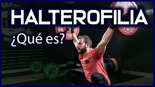 ¿Qué es la HALTEROFILIA  Categorías Competición Normativa y más sobre este deporte de estética [upl. by Merriam272]