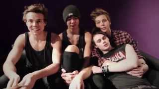 5 Seconds of Summer  Dinosaurs Unicorns amp Big Apples NYC Tour Diary [upl. by Airret17]