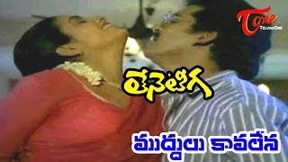 Teneteega Songs  Muddul Kavalena  Rajendra Prasad  Rekha  Sitara [upl. by Birdella611]