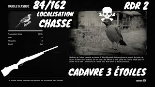 Tout Les Animaux 84162 LOriole Masqué Localisation Red Dead Redemption 2 [upl. by Arratoon54]