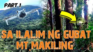 part 01ITO PALA ANG MAKIKITA SA GITNA NG MOUNT MAKILING😲NAKAKAMANGHA [upl. by Cirek]