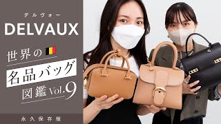 名品バッグ図鑑vol9📚 DELVAUXデルヴォー名品バッグ「ブリヨンampタンペートampクールボックス」 レビュー🔍収納力や使いやすさを徹底レビュー｜バイマ購入品紹介 [upl. by Viafore]