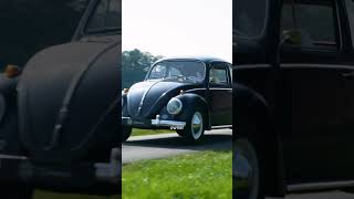 This is the most CLASSIC black Beetle [upl. by Gnem]