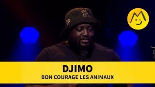 Djimo  Bon courage les animaux [upl. by Hsihsa495]