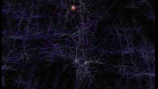 Neurons and how they work [upl. by Lefton516]