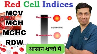 Red cell indices made easy in hindi  MCVMCHMCHCRDW [upl. by Lectra]