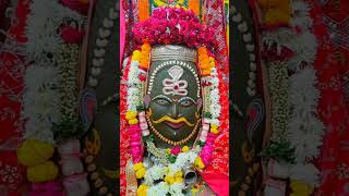 Mahakal Status  mahakal ujjain shorts youtubeshorts [upl. by Naresh850]