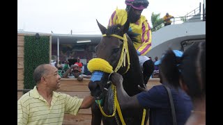 JAMAICA RACING Go West Young Man Wins Sat July 20 2024 8th [upl. by Steep]