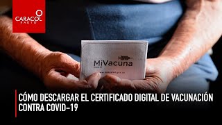 Coronavirus en Colombia Cómo descargar el certificado digital de vacunación contra COVID19 [upl. by Aneert]