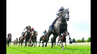 FALLEN ANGEL bounces back for Tattersalls Irish 1000 Guineas glory [upl. by Oiruam836]