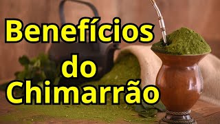 5 Benefícios do Chimarrão para a saúde [upl. by Mackey]