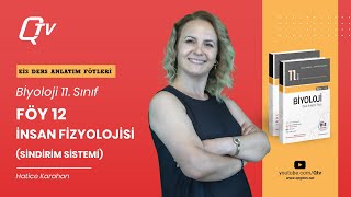 EİS Biyoloji 11 Sınıf Ders Anlatım Föyleri  Föy 12  İnsan Fizyolojisi Sindirim Sistemi [upl. by Rialb]