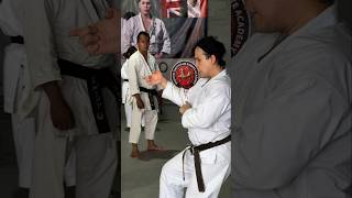 Commentary Unsu seminar Mexico Tiru Jr Katsu kata karate unsu martialarts kartrdo karatekata [upl. by Siravaj]