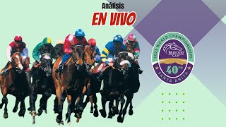 Arranca la acción de la Breeders´ Cup  Análisis y pronósticos EN VIVO [upl. by Nalod]