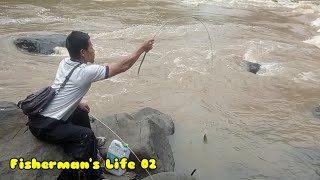 The Life of Village Fishermen in Wild Fish Catching Skills 02 [upl. by Vidda]