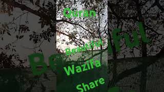 Quran Tilawat Beautiful wazifa wazifa0786 [upl. by Farmann]