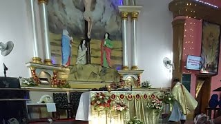 Nuptial Mass  Alwyn with Smitha [upl. by Handel459]