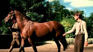 CAVALO DE GUERRA  TRAILER HD LEGENDADO [upl. by Melgar]