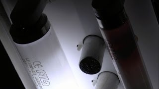 EOLfluorescent tube burnout T8 36W [upl. by Gnoc]