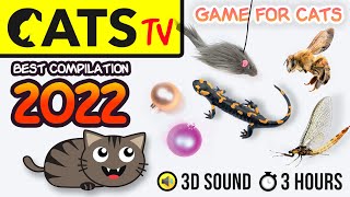 GAME FOR CATS  BEST 2023 Cats TV compilation 🦎🪩🐭 60fps 3 HOURS [upl. by Relluf]