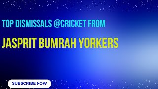 Jasprit Bumrahs MOST DEVASTATING Dismissals with Yorkers [upl. by Andel989]