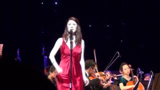 I Believe  Hayley Westenra ヘイリー Kaohsiung Concert 2013 [upl. by Osswald]