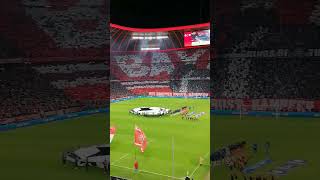 Allianz Arena München [upl. by Elfont]