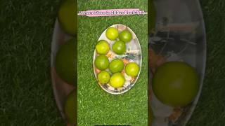 Lemon Store in 20Days Useful Tip ✅youtubeshorts viralvideo lemon store PreethiHoney01 [upl. by Rovelli]