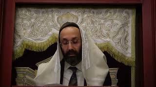 RAvner Yunayev Halachot the Month of Elul 9124 [upl. by Diarmid408]