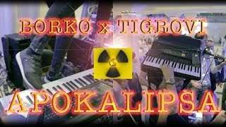 Borko Radivojevic x Tigrovi  APOKALIPSA [upl. by Ylatfen67]