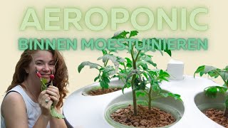 Aeroponic moestuin in je woonkamer  Heb ik al meer geleerd  mijn ervaring [upl. by Brink]