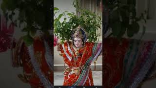 lehar lehar lehraye re mere aagan ki tulsi trending short video [upl. by Yekcir]