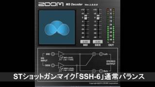 自作ダミーヘッドマイクと、ZOOM ステレオ・ショットガンマイク SSH6 の比較 [upl. by Kidder765]