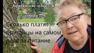 Сколько платят британцы на самом деле за питаниеИнфраструктура в провинциях Англии [upl. by Tihom]