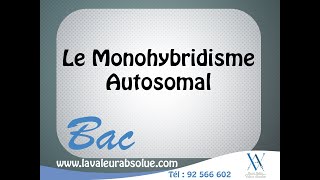 Science  Le Monohybridisme autosomal  Bac Sciences [upl. by Wilona241]