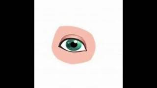 Dont Miss This Cartoon Eyes Blinking Sound Effect [upl. by Noleta690]