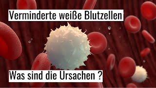 Leukozytopenie  was ist die Ursache verminderter weißer Blutkörperchen [upl. by Hazlett]