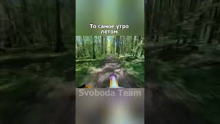 Тгк Svoboda Team atakief300 stunt 12oclock dirtbike лето утреннее bikelife automobile [upl. by Nohsar545]