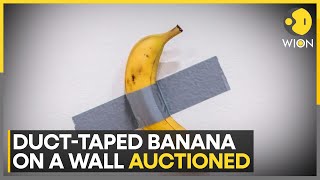 DuctTaped Banana on a Wall Sold for 6 Million at Art Auction  Latest English News  WION [upl. by Fredelia487]