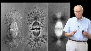 Microscopy Differential Interference Contrast DIC Microscopy Edward Salmon [upl. by Berty]