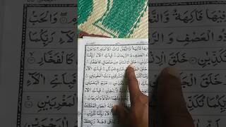 quran reciting😎shortyoutube shortshorts [upl. by Irrek]