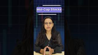 What are Midcap Stocks [upl. by Martin]