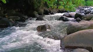 1 Relaxing Hour The Sound of Beautiful River Water Flowing Soothes the Mind Deep Sleep Meditation [upl. by Oakley209]