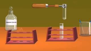 Detection of Elements Lassaigne’s Test  MeitY OLabs [upl. by Puduns561]