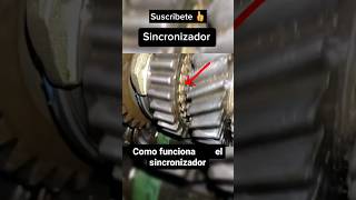 Como funciona el bronceanillo sincronizador 🤔 mecanica automotriz mecánicaautomotriz repuestos [upl. by Shayla]