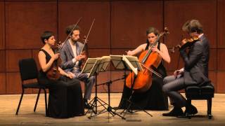 Beethoven String Quartet Op 132 in A Minor  Ariel Quartet full [upl. by Webster]