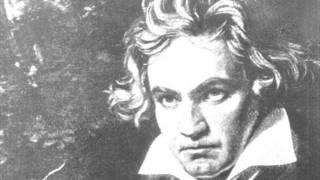 Ludwig van Beethoven  5 Sinfonie  Satz 1 [upl. by Anawyt227]