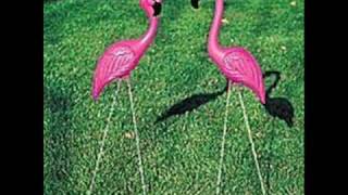 Pink Lawn Flamingos for a Birthday [upl. by Carver332]