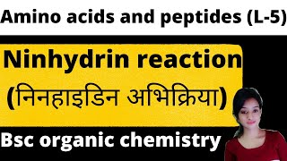 L5 amino acid and peptides Ninhydrin reaction bsc final year organic chemistry  knowledge adda [upl. by Frayne]